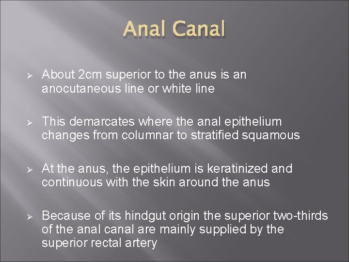 Anal Canal Ø About 2 cm superior to the anus is an anocutaneous line