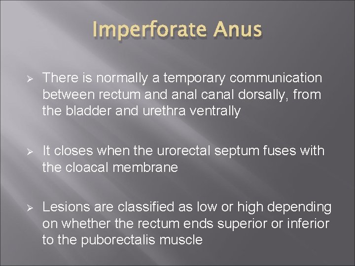 Imperforate Anus Ø There is normally a temporary communication between rectum and anal canal