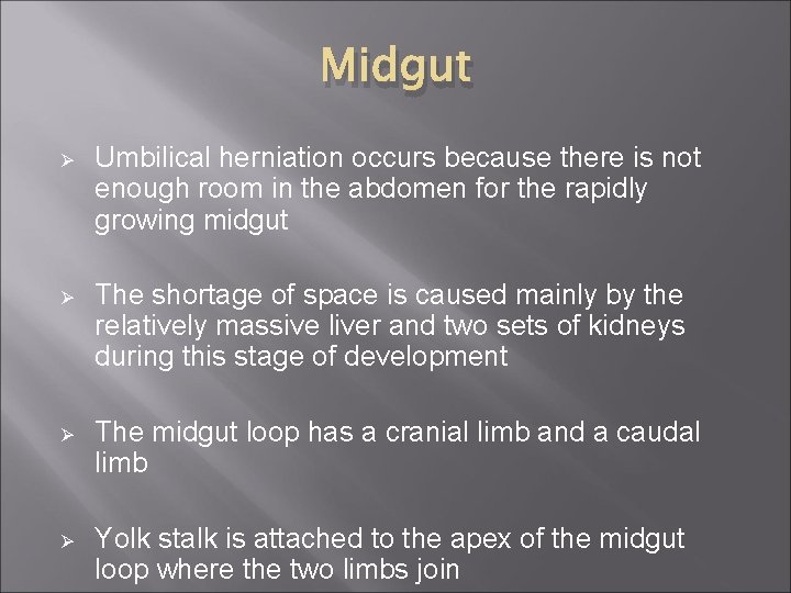 Midgut Ø Umbilical herniation occurs because there is not enough room in the abdomen