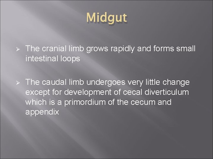 Midgut Ø The cranial limb grows rapidly and forms small intestinal loops Ø The