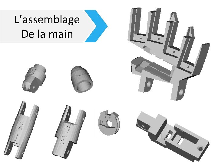 L’assemblage De la main 