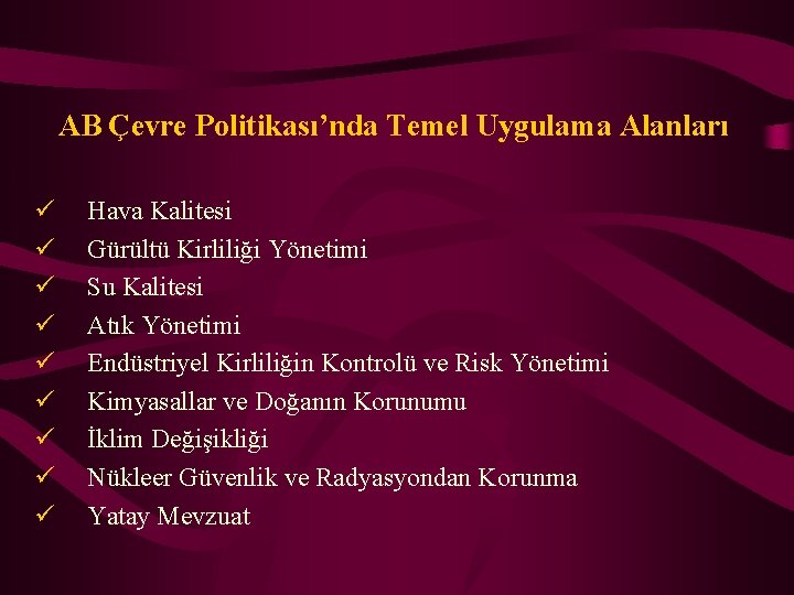 AB Çevre Politikası’nda Temel Uygulama Alanları ü ü ü ü ü Hava Kalitesi Gürültü