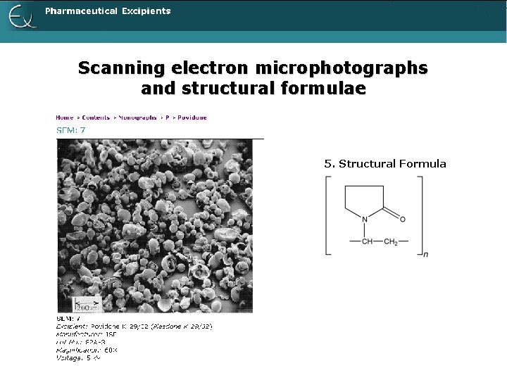 Scanning electron microphotographs and structural formulae 