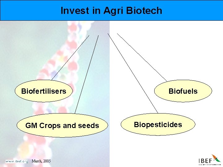 Invest in Agri Biotech Biofertilisers GM Crops and seeds March, 2005 Biofuels Biopesticides 