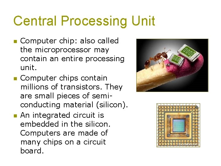 Central Processing Unit n n n Computer chip: also called the microprocessor may contain