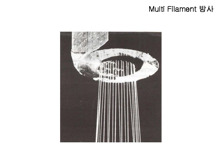 Multi Filament 방사 