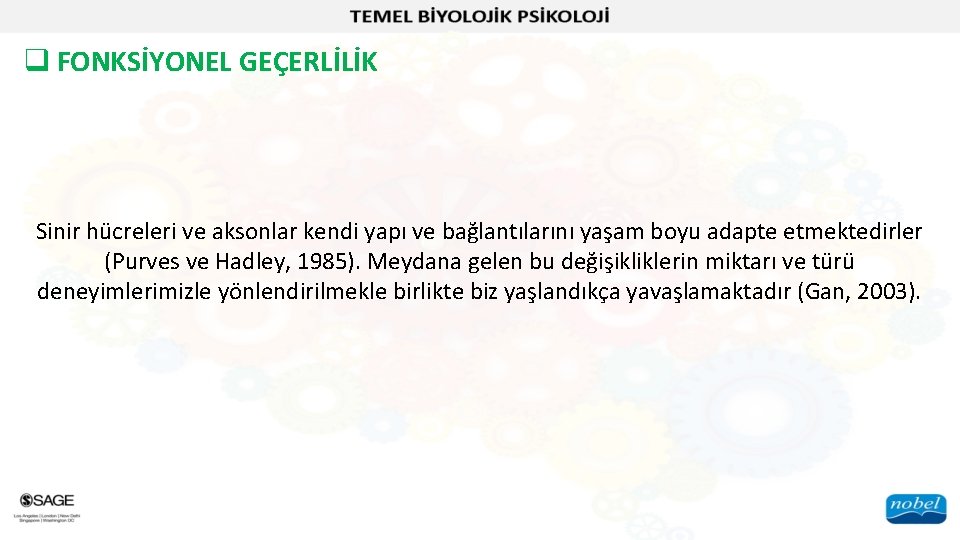 q FONKSİYONEL GEÇERLİLİK Sinir hücreleri ve aksonlar kendi yapı ve bağlantılarını yaşam boyu adapte