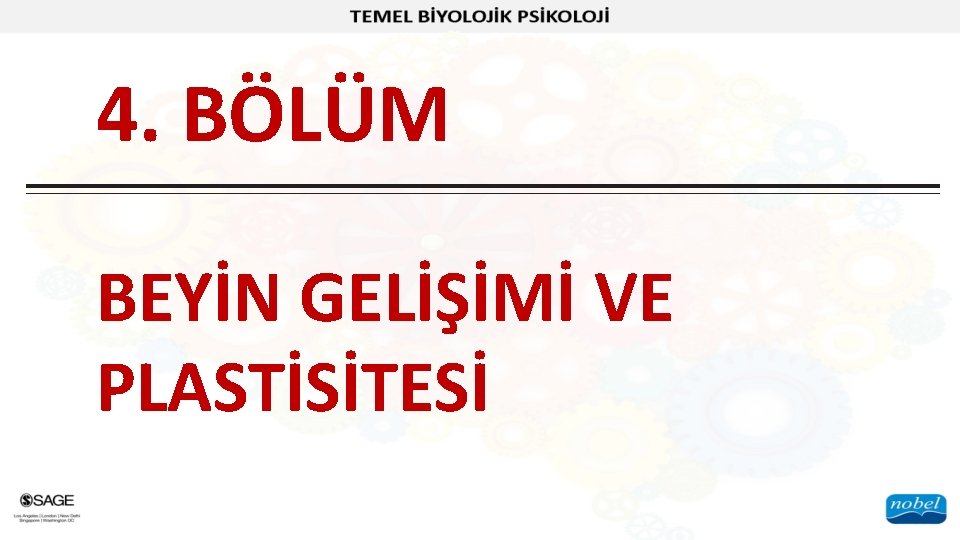 4. BÖLÜM BEYİN GELİŞİMİ VE PLASTİSİTESİ 