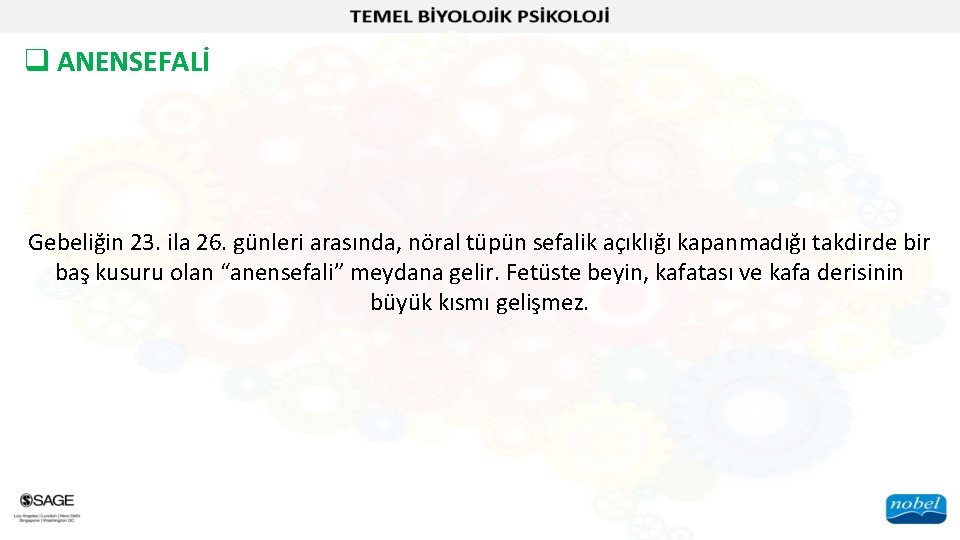 q ANENSEFALİ Gebeliğin 23. ila 26. günleri arasında, nöral tüpün sefalik açıklığı kapanmadığı takdirde