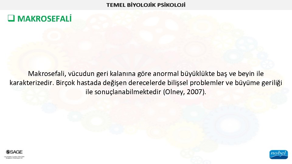 q MAKROSEFALİ Makrosefali, vücudun geri kalanına göre anormal büyüklükte baş ve beyin ile karakterizedir.