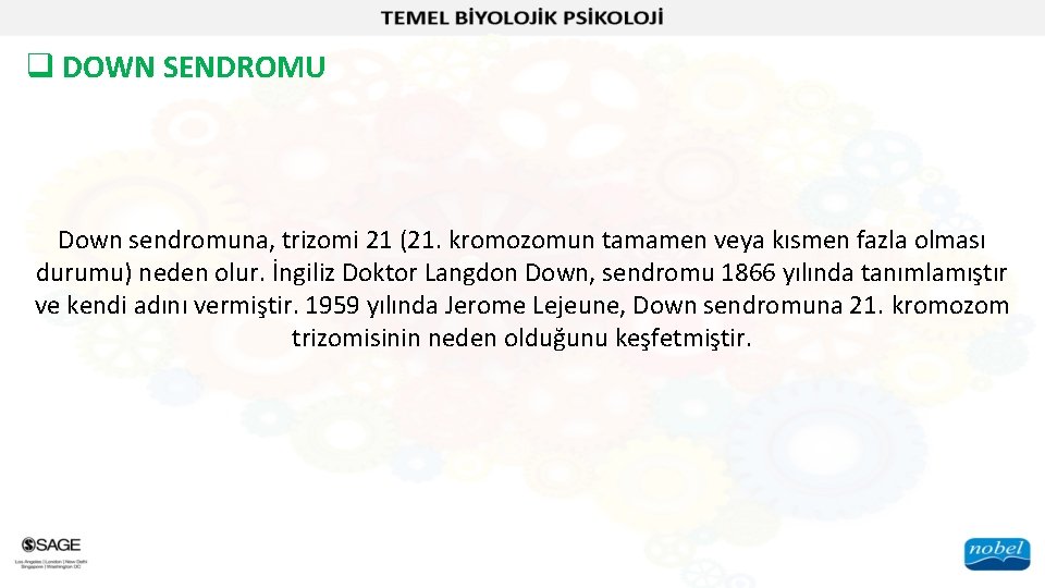 q DOWN SENDROMU Down sendromuna, trizomi 21 (21. kromozomun tamamen veya kısmen fazla olması