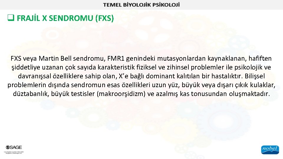 q FRAJİL X SENDROMU (FXS) FXS veya Martin Bell sendromu, FMR 1 genindeki mutasyonlardan