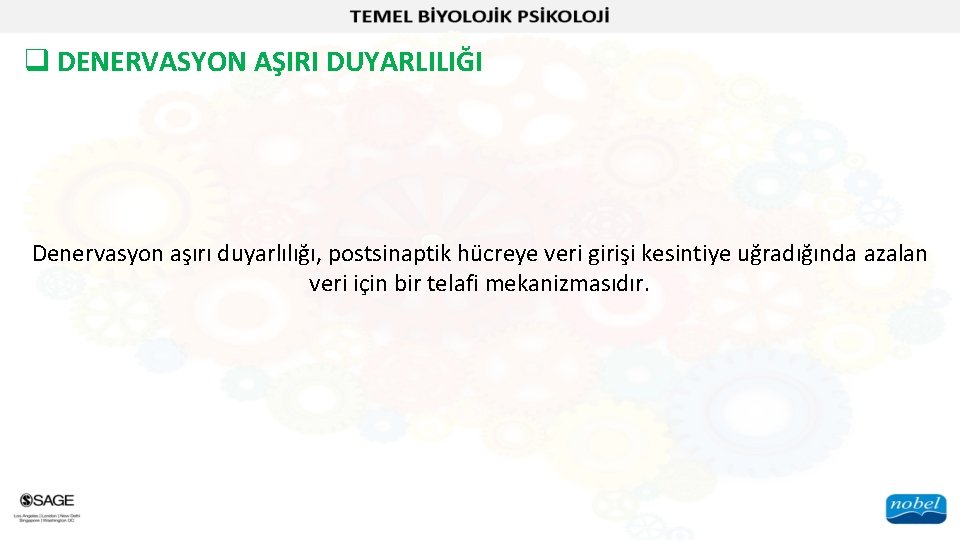 q DENERVASYON AŞIRI DUYARLILIĞI Denervasyon aşırı duyarlılığı, postsinaptik hücreye veri girişi kesintiye uğradığında azalan