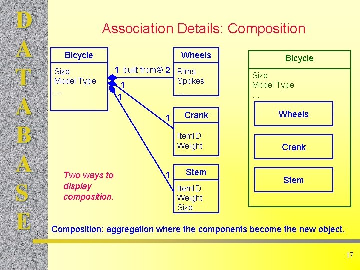 D A T A B A S E Association Details: Composition Bicycle Size Model