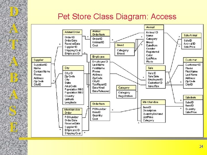 D A T A B A S E Pet Store Class Diagram: Access 24