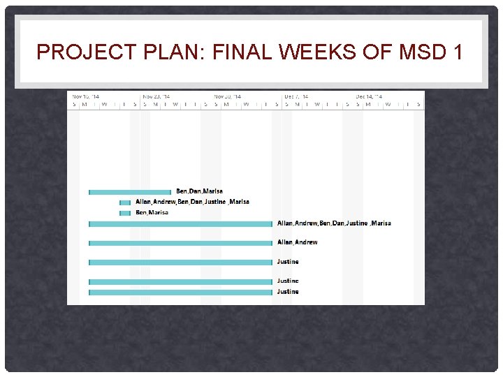 PROJECT PLAN: FINAL WEEKS OF MSD 1 