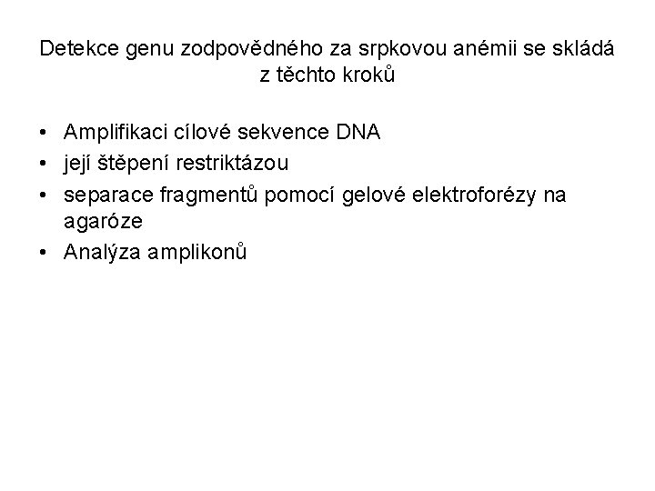Detekce genu zodpovědného za srpkovou anémii se skládá z těchto kroků • Amplifikaci cílové
