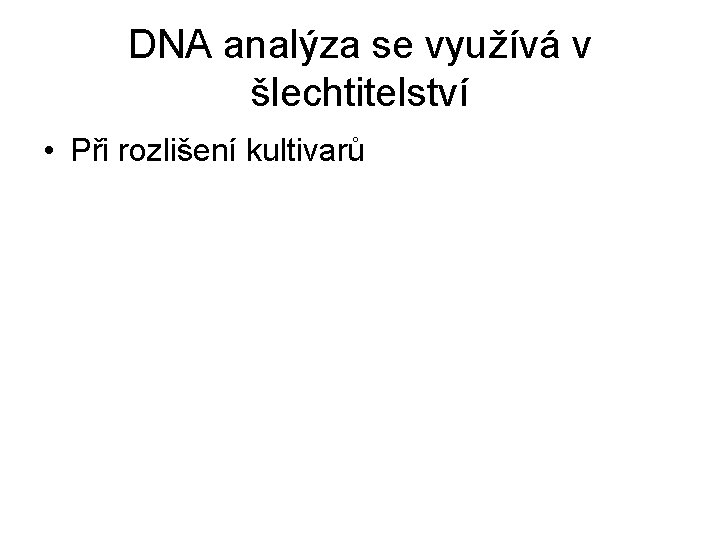 DNA analýza se využívá v šlechtitelství • Při rozlišení kultivarů 