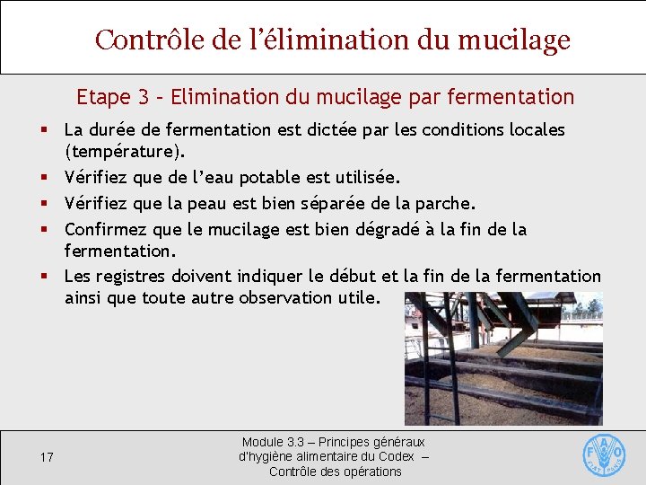 Contrôle de l’élimination du mucilage Etape 3 – Elimination du mucilage par fermentation §