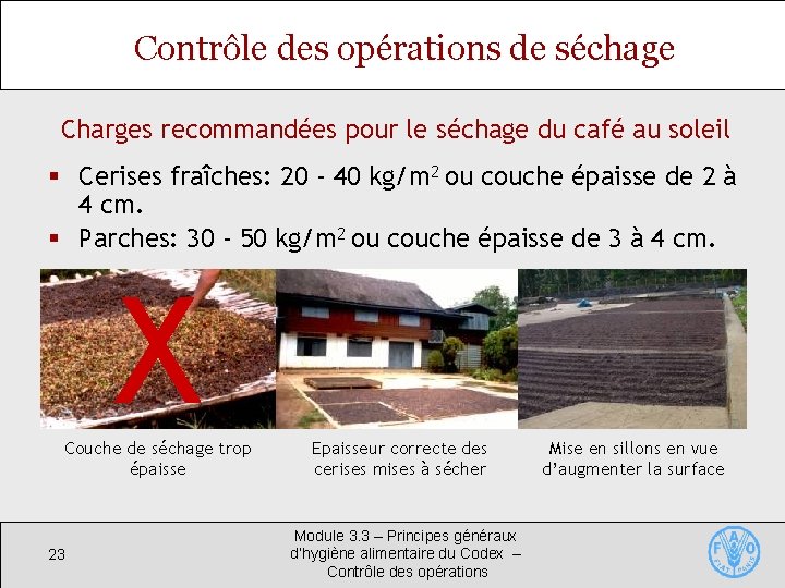 Contrôle des opérations de séchage Charges recommandées pour le séchage du café au soleil