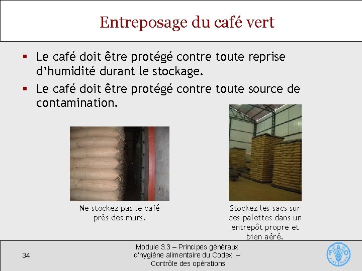 Entreposage du café vert § Le café doit être protégé contre toute reprise d’humidité