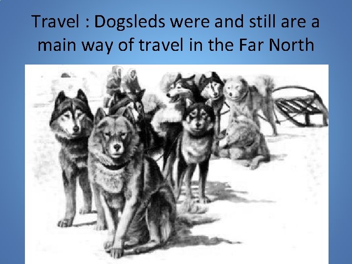 Travel : Dogsleds were and still are a main way of travel in the