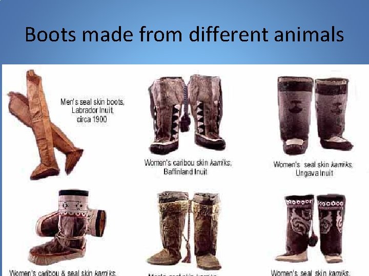 Boots made from different animals 