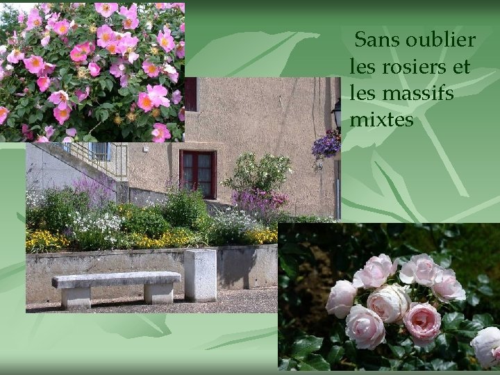  Sans oublier les rosiers et les massifs mixtes 