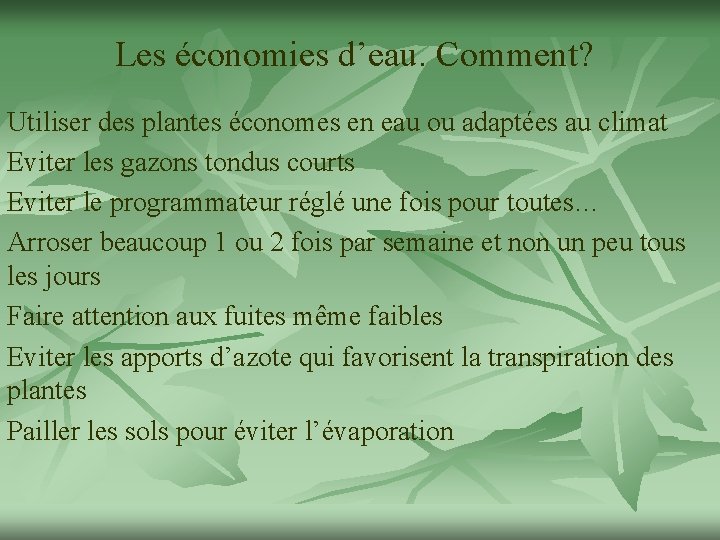 Les économies d’eau. Comment? Utiliser des plantes économes en eau ou adaptées au climat