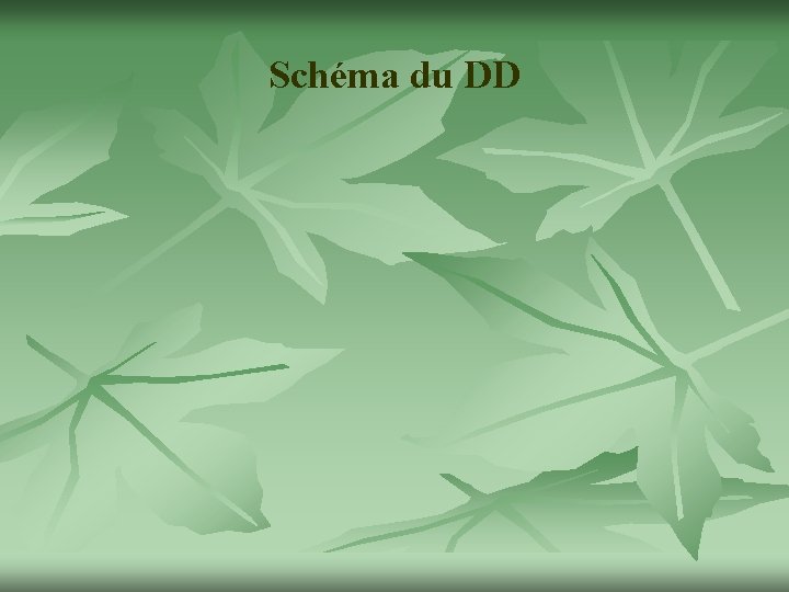 Schéma du DD 