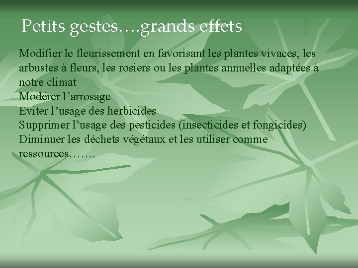 Petits gestes…. grands effets Modifier le fleurissement en favorisant les plantes vivaces, les arbustes