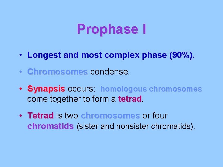 Prophase I • Longest and most complex phase (90%). • Chromosomes condense. • Synapsis