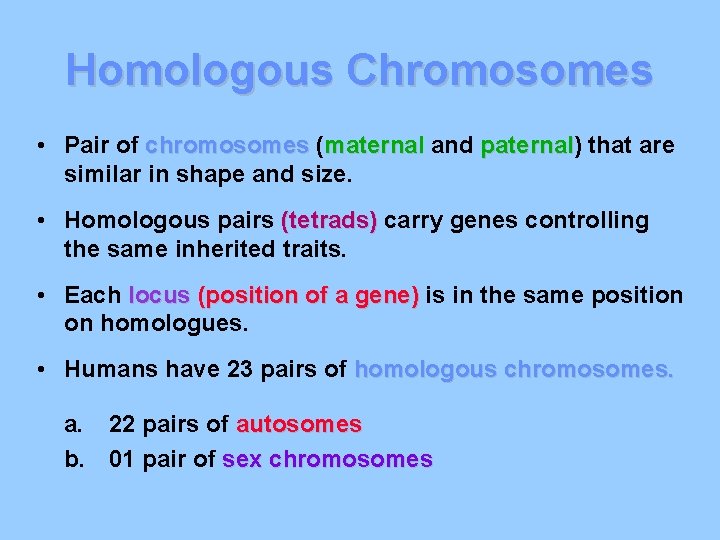 Homologous Chromosomes • Pair of chromosomes (maternal and paternal) paternal that are similar in