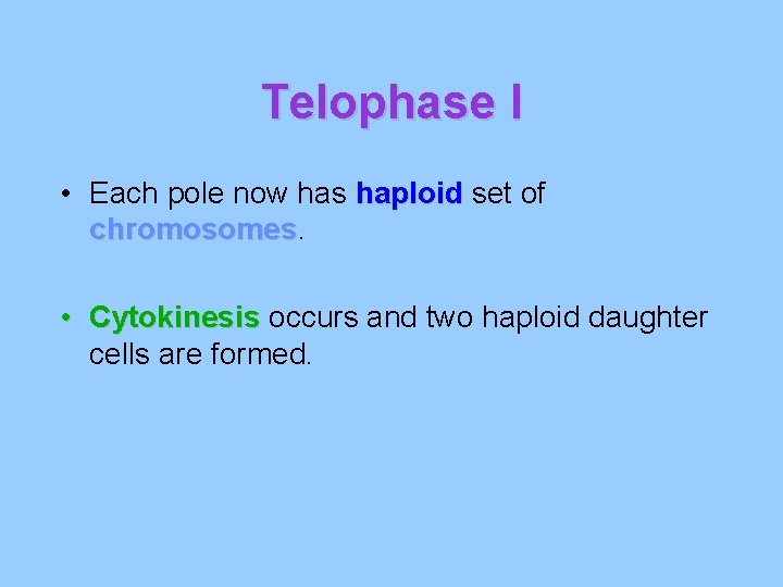 Telophase I • Each pole now has haploid set of chromosomes • Cytokinesis occurs