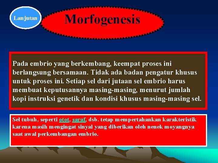 Lanjutan Morfogenesis Pada embrio yang berkembang, keempat proses ini berlangsung bersamaan. Tidak ada badan