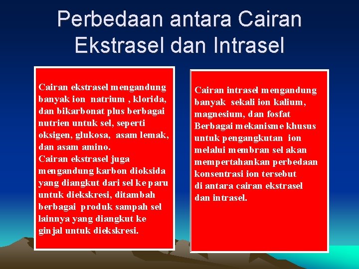 Perbedaan antara Cairan Ekstrasel dan Intrasel Cairan ekstrasel mengandung banyak ion natrium , klorida,