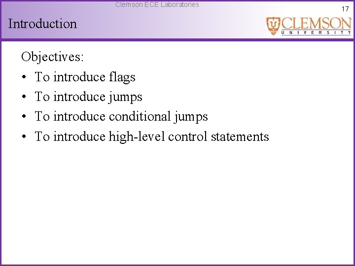 Clemson ECE Laboratories Introduction Objectives: • To introduce flags • To introduce jumps •