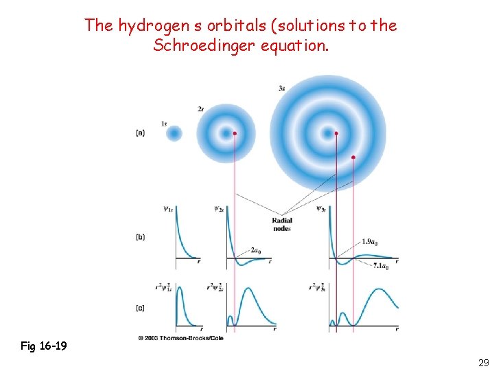 The hydrogen s orbitals (solutions to the Schroedinger equation. Fig 16 -19 29 