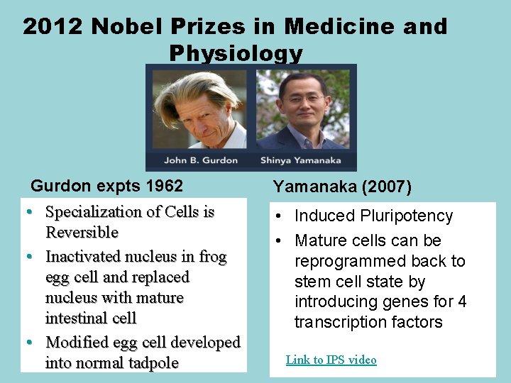 2012 Nobel Prizes in Medicine and Physiology Gurdon expts 1962 Yamanaka (2007) • Specialization