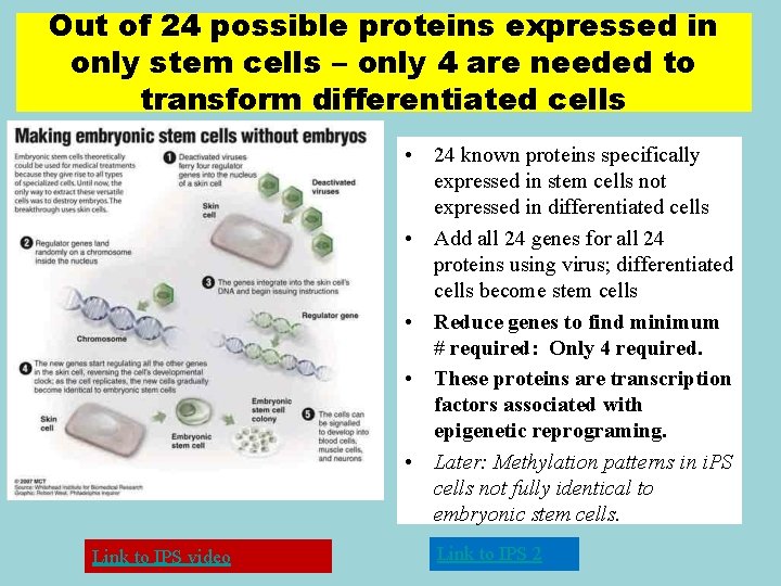 Out of 24 possible proteins expressed in only stem cells – only 4 are