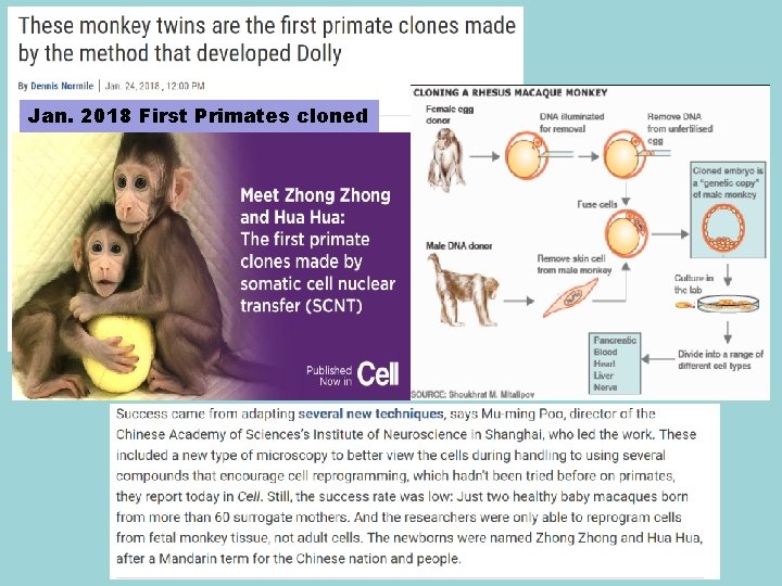 Jan. 2018 First Primates cloned 