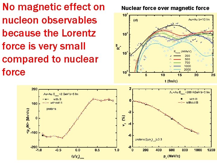 No magnetic effect on nucleon observables because the Lorentz force is very small compared