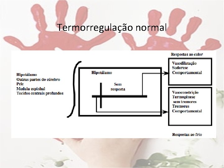 Termorregulação normal 