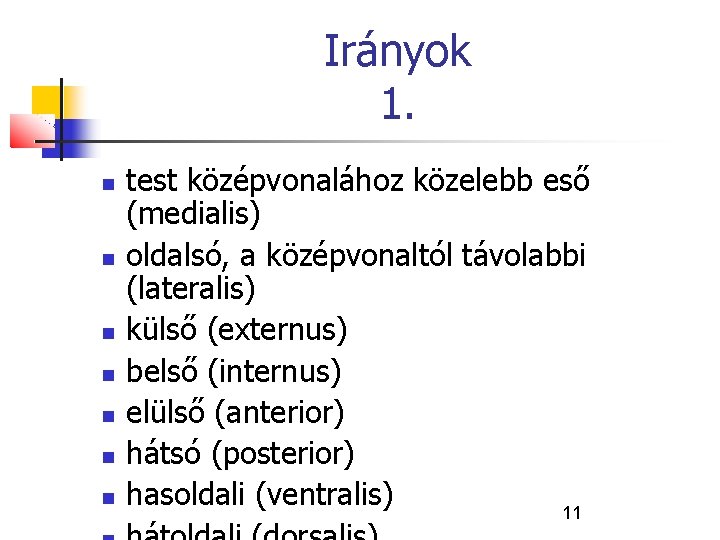 Irányok 1. test középvonalához közelebb eső (medialis) oldalsó, a középvonaltól távolabbi (lateralis) külső (externus)