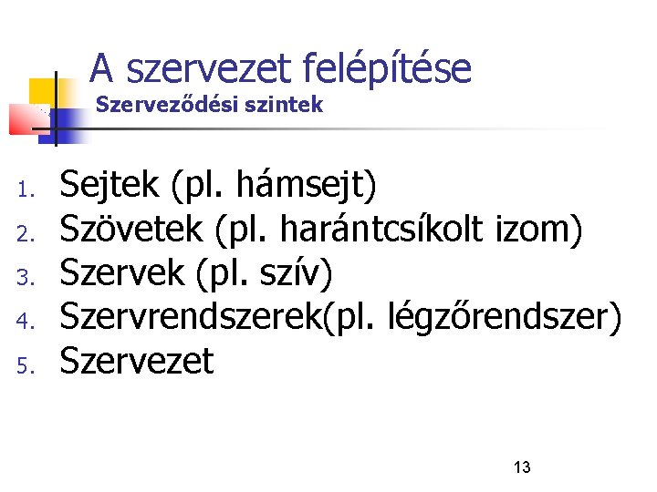 A szervezet felépítése Szerveződési szintek 1. 2. 3. 4. 5. Sejtek (pl. hámsejt) Szövetek