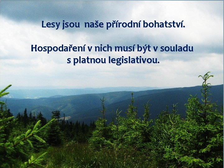 Lesy jsou naše přírodní bohatství. Hospodaření v nich musí být v souladu s platnou