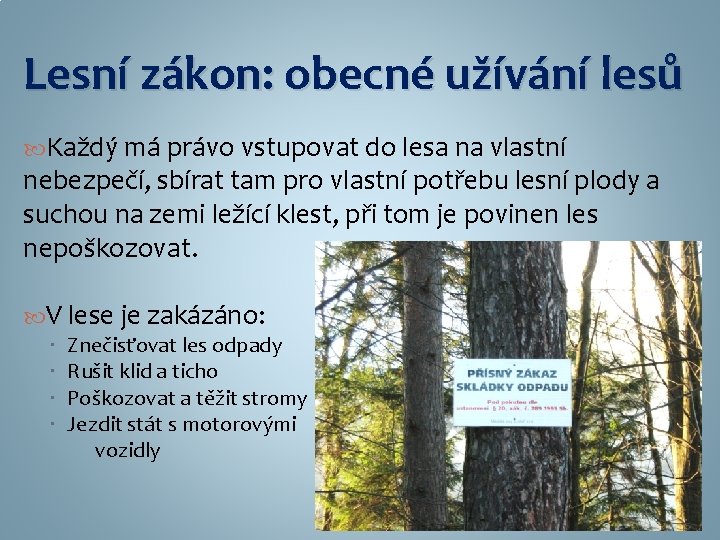 Lesní zákon: obecné užívání lesů Každý má právo vstupovat do lesa na vlastní nebezpečí,