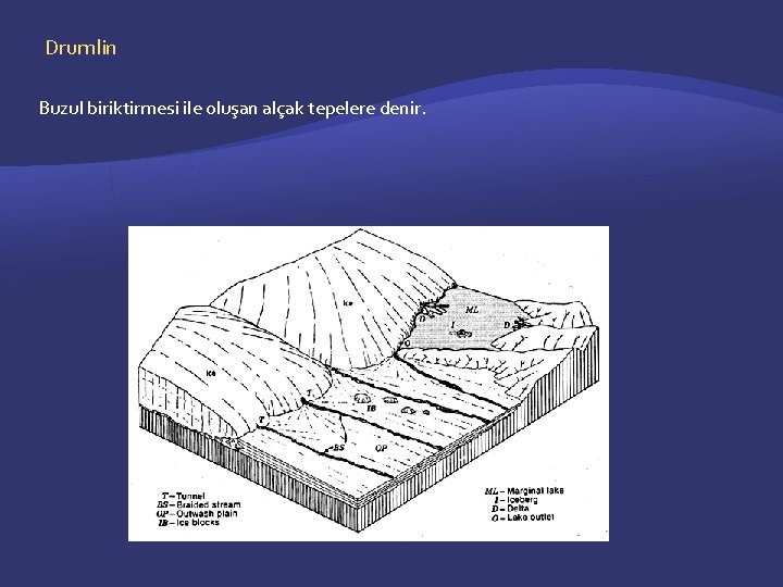 Drumlin Buzul biriktirmesi ile oluşan alçak tepelere denir. 