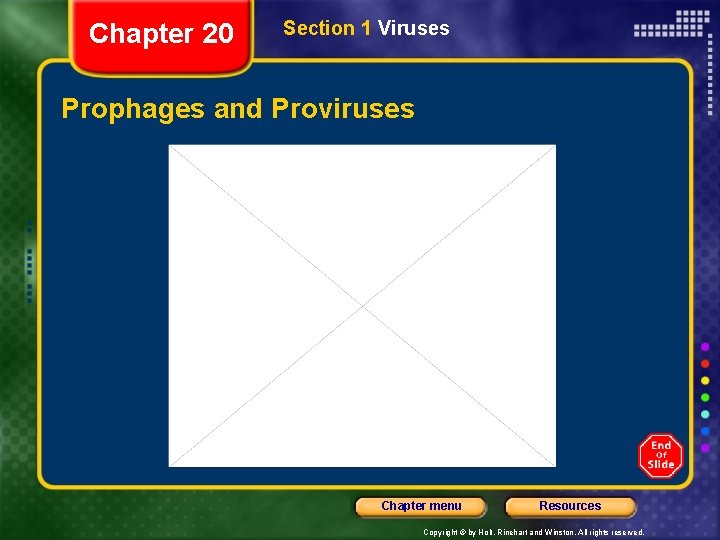 Chapter 20 Section 1 Viruses Prophages and Proviruses Chapter menu Resources Copyright © by