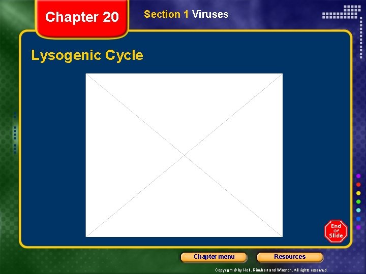 Chapter 20 Section 1 Viruses Lysogenic Cycle Chapter menu Resources Copyright © by Holt,